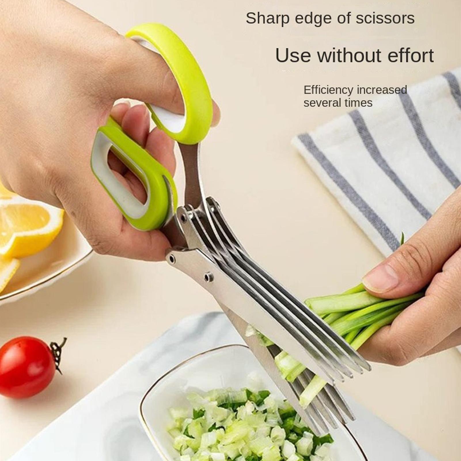ハーブシザー 5枚刃 ステンレス製 キッチンシザー カバーと - Herb Scissors 5 Blade のレビューと価格