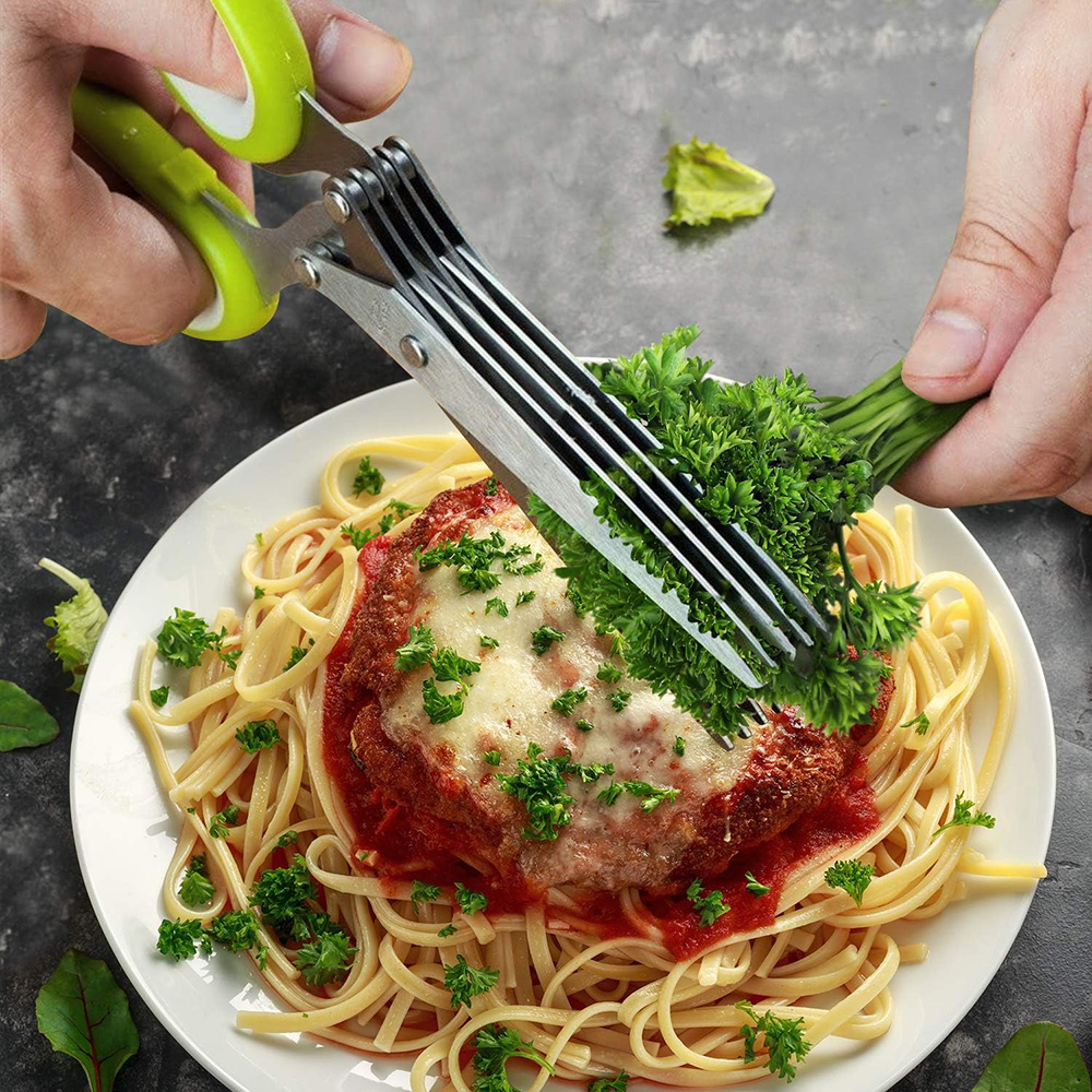 ハーブはさみステンレス鋼 5 刃キッチンはさみ家庭用野菜カッ - Herb Scissors 5 Blade のレビューと価格